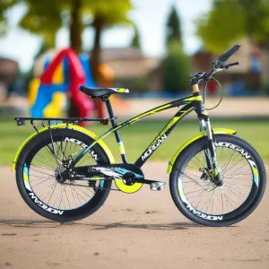 24" Morgan Bicycle | Lime