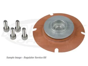 Aeromotive Fuel Pressure Regulator Service Kit For 13102, 13103, 13152, 13153