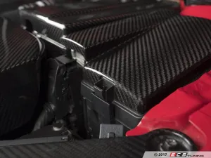 ECS TUNING - Carbon Fiber Fuse Box / ECU Cover